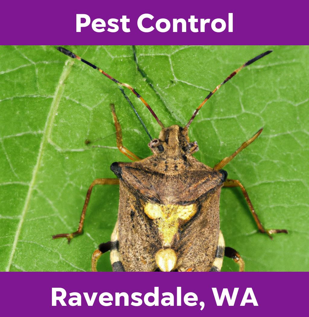 pest control in Ravensdale Washington