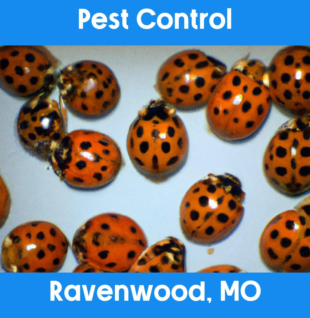pest control in Ravenwood Missouri