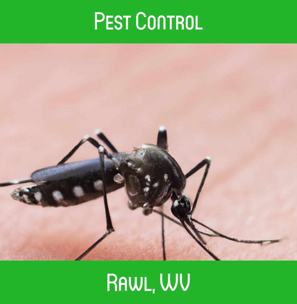 pest control in Rawl West Virginia