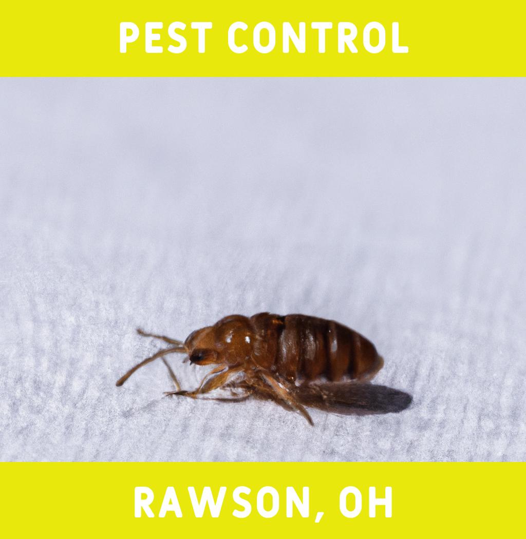pest control in Rawson Ohio