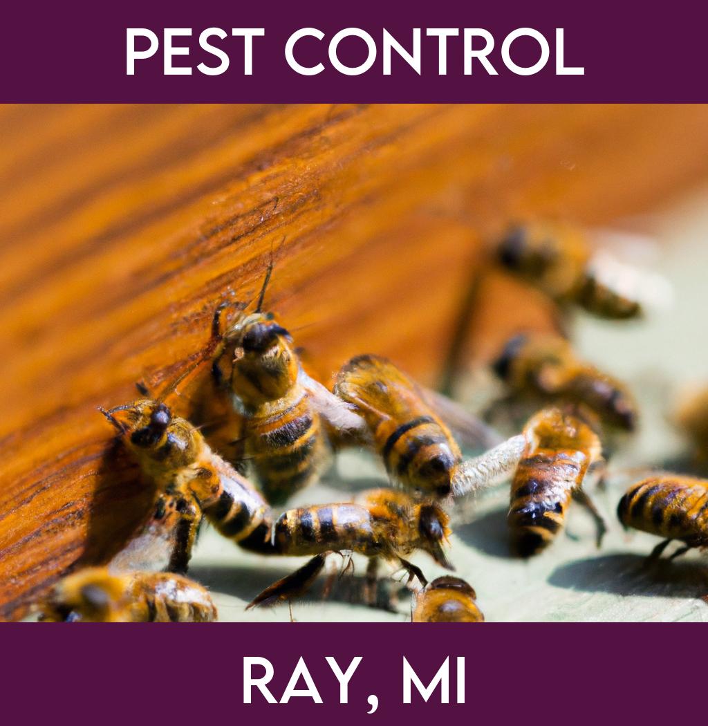 pest control in Ray Michigan