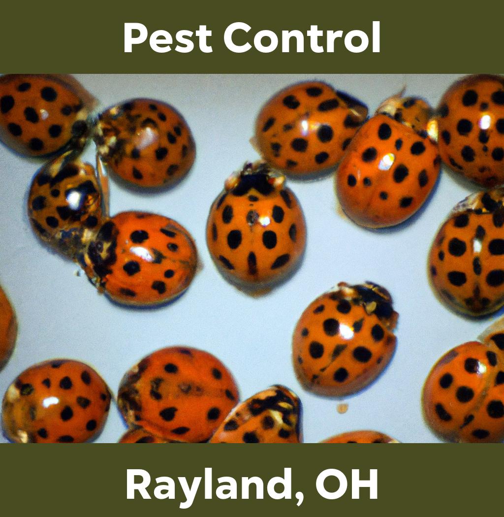 pest control in Rayland Ohio