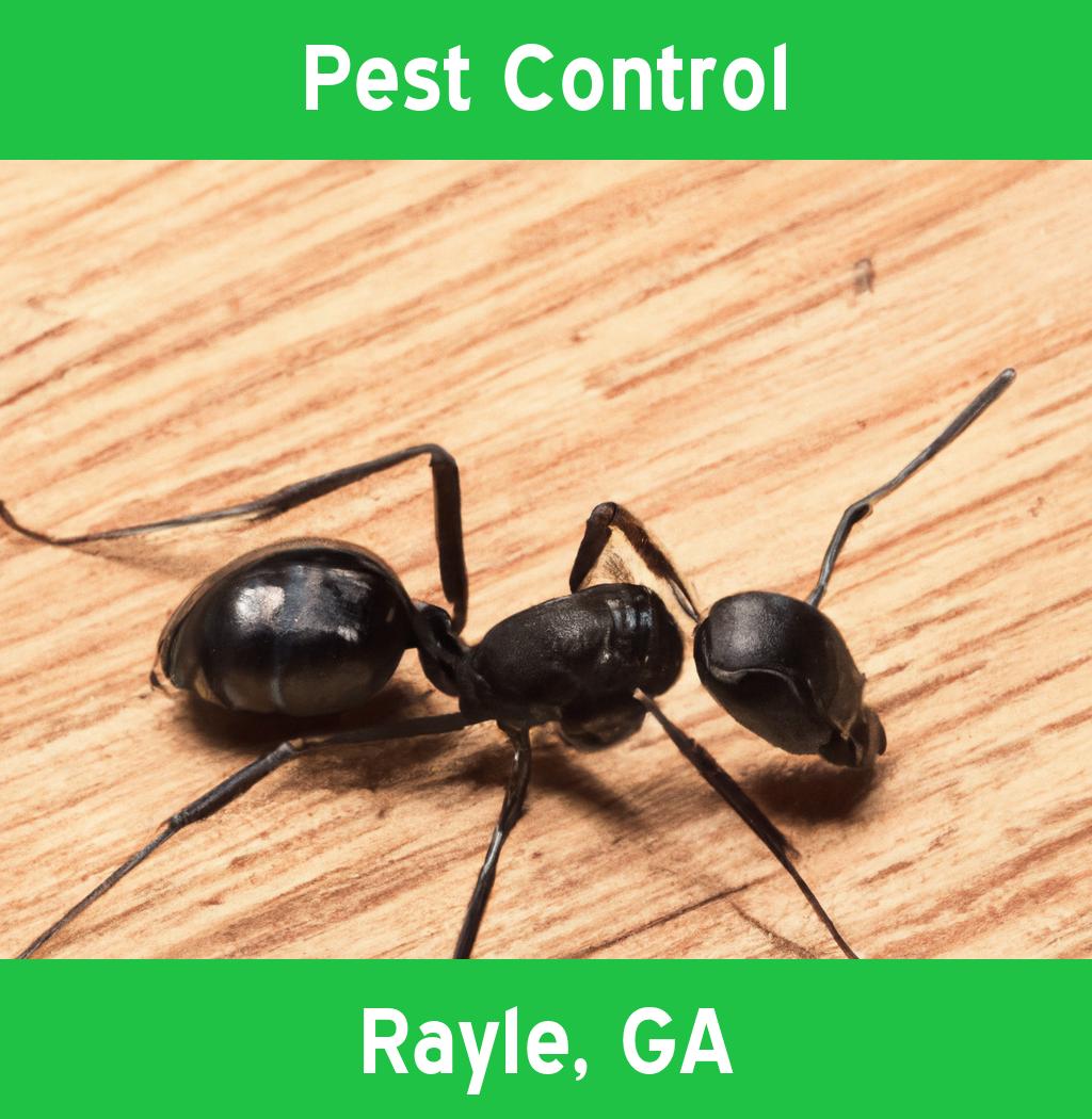 pest control in Rayle Georgia