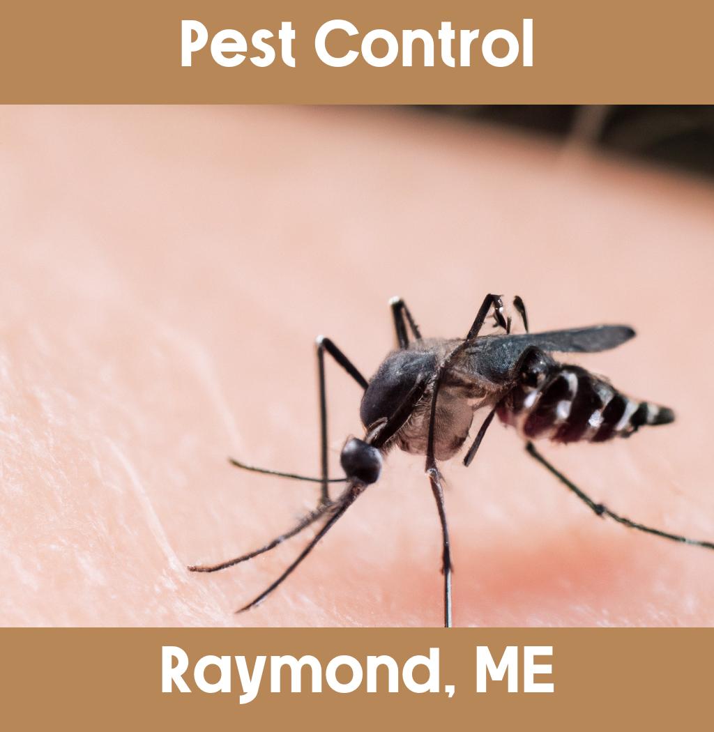 pest control in Raymond Maine