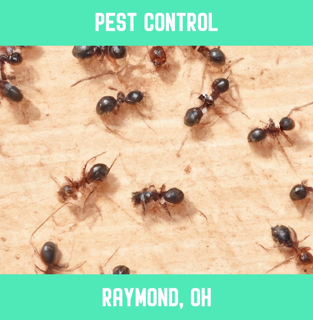 pest control in Raymond Ohio