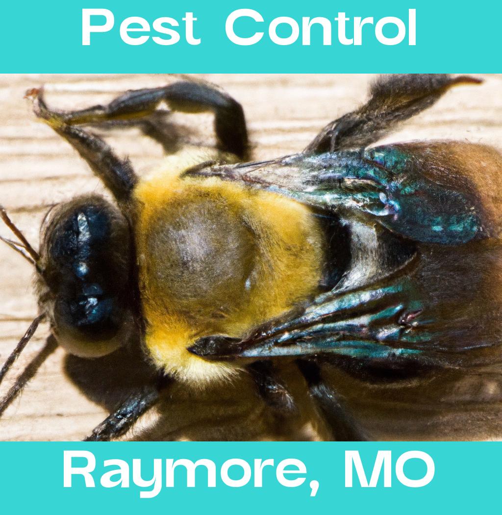 pest control in Raymore Missouri