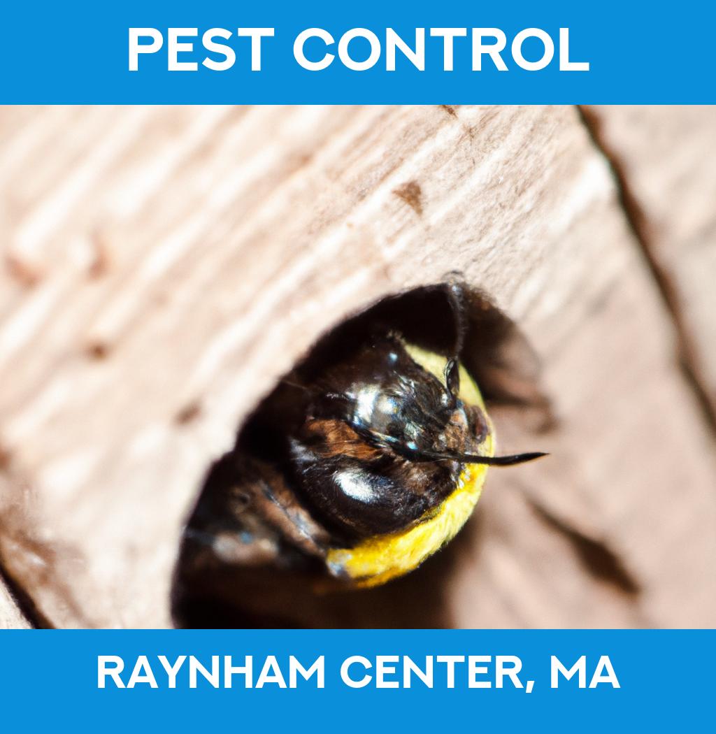 pest control in Raynham Center Massachusetts