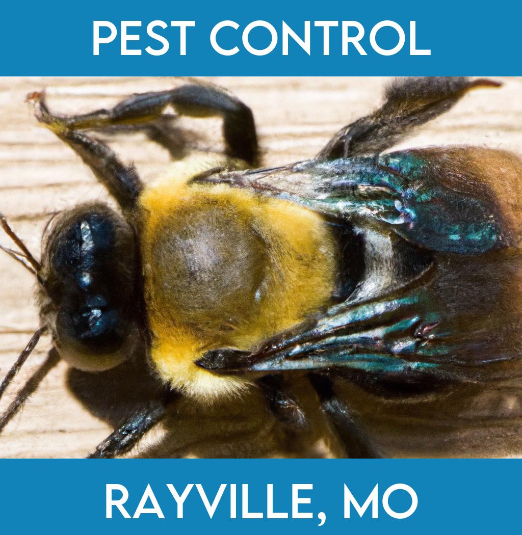 pest control in Rayville Missouri