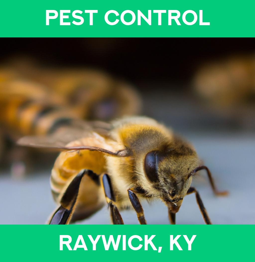 pest control in Raywick Kentucky