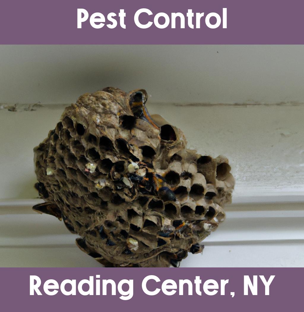 pest control in Reading Center New York