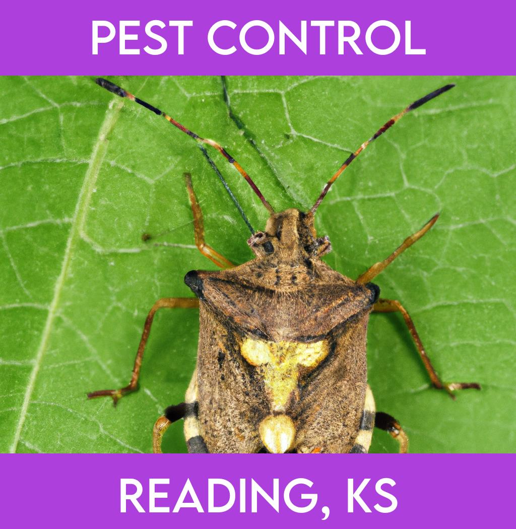 pest control in Reading Kansas