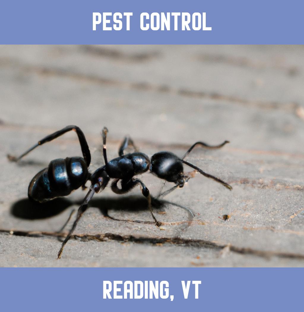 pest control in Reading Vermont