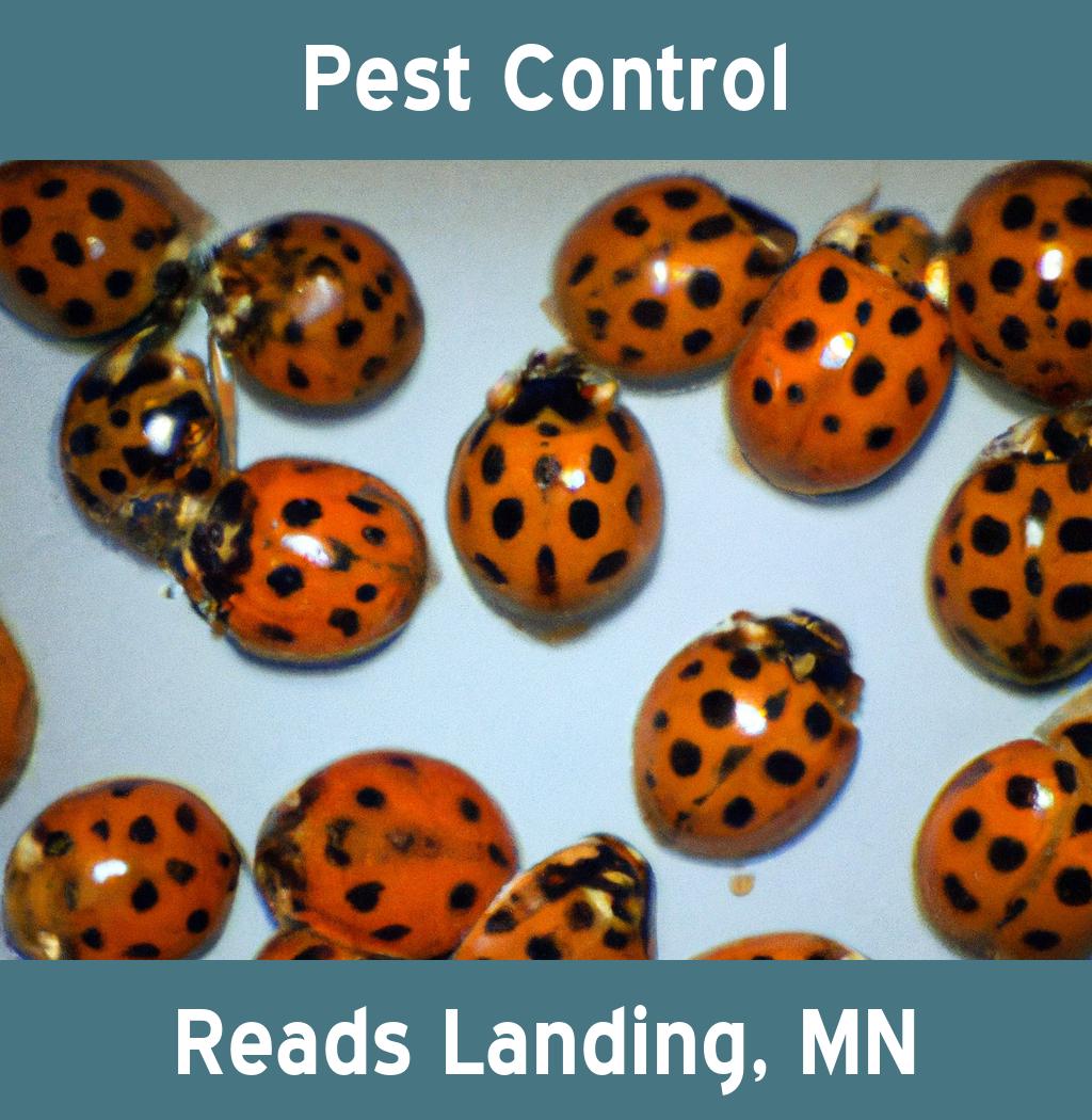 pest control in Reads Landing Minnesota