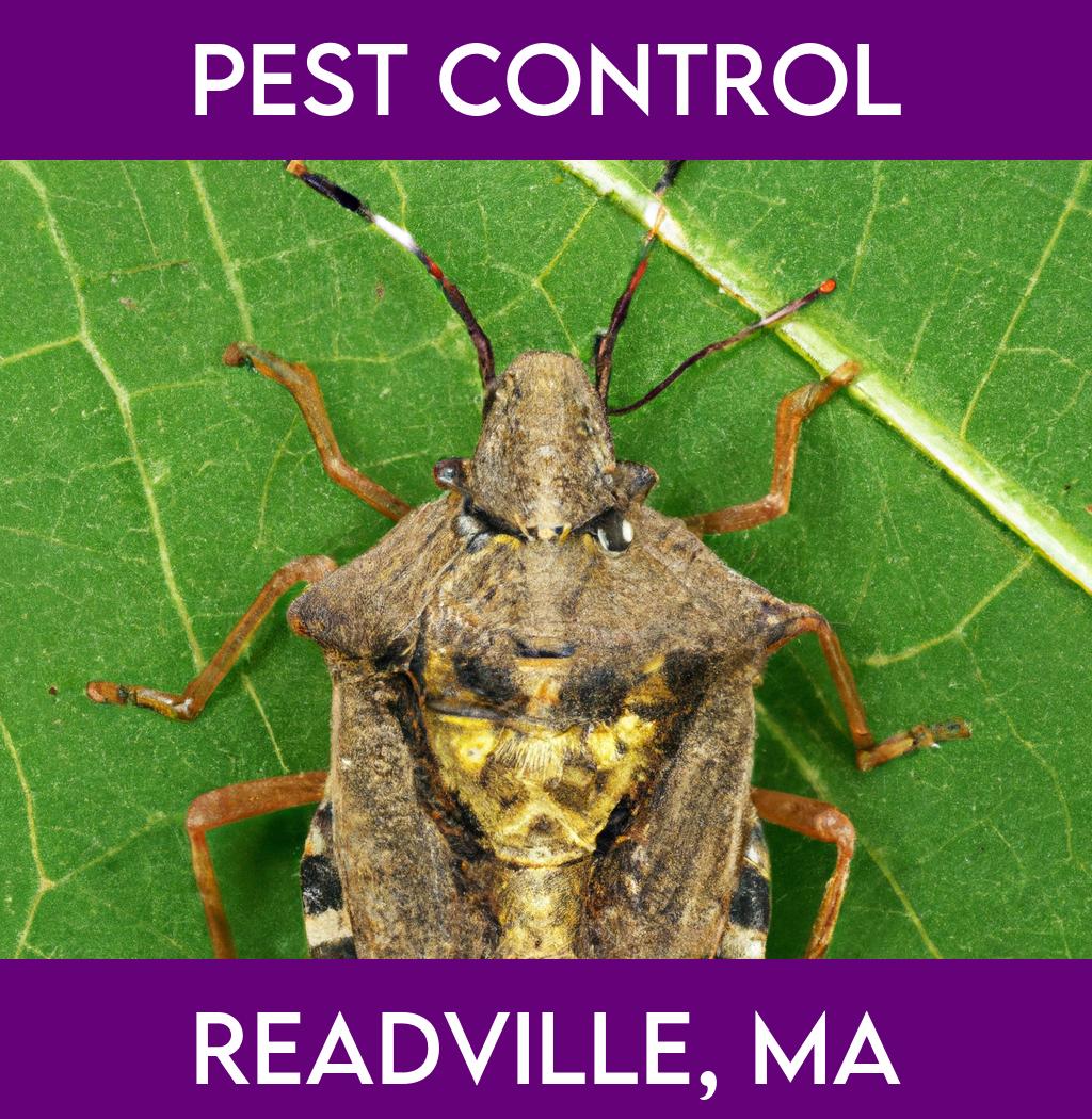 pest control in Readville Massachusetts