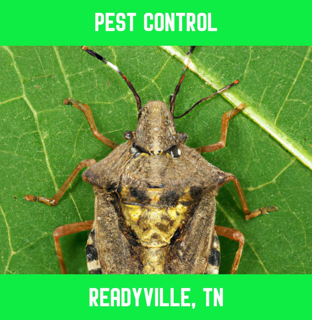 pest control in Readyville Tennessee