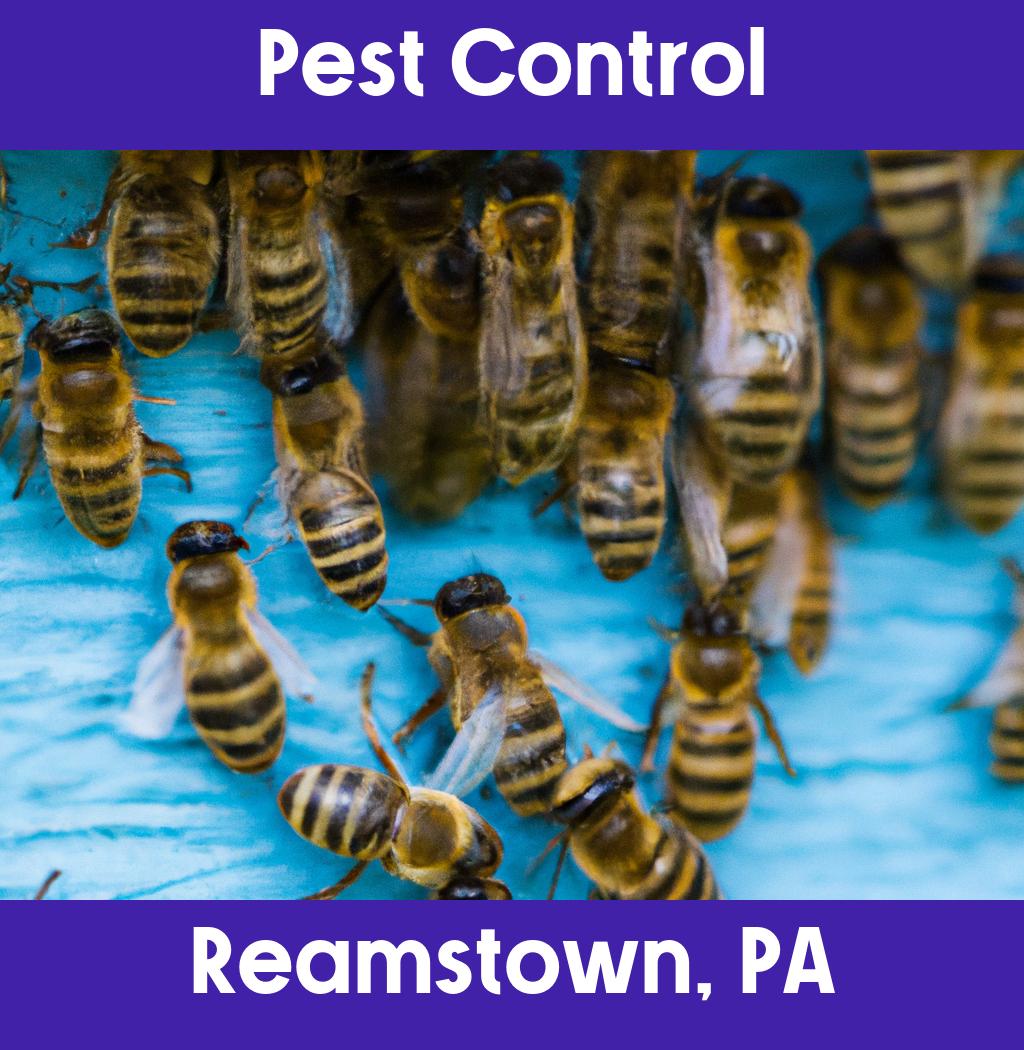 pest control in Reamstown Pennsylvania