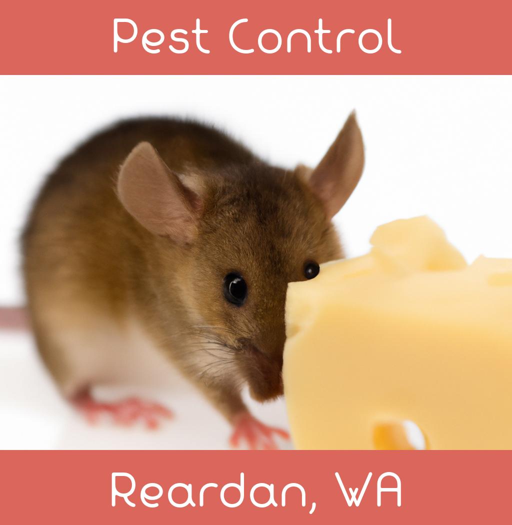 pest control in Reardan Washington