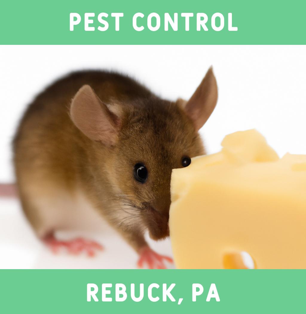 pest control in Rebuck Pennsylvania