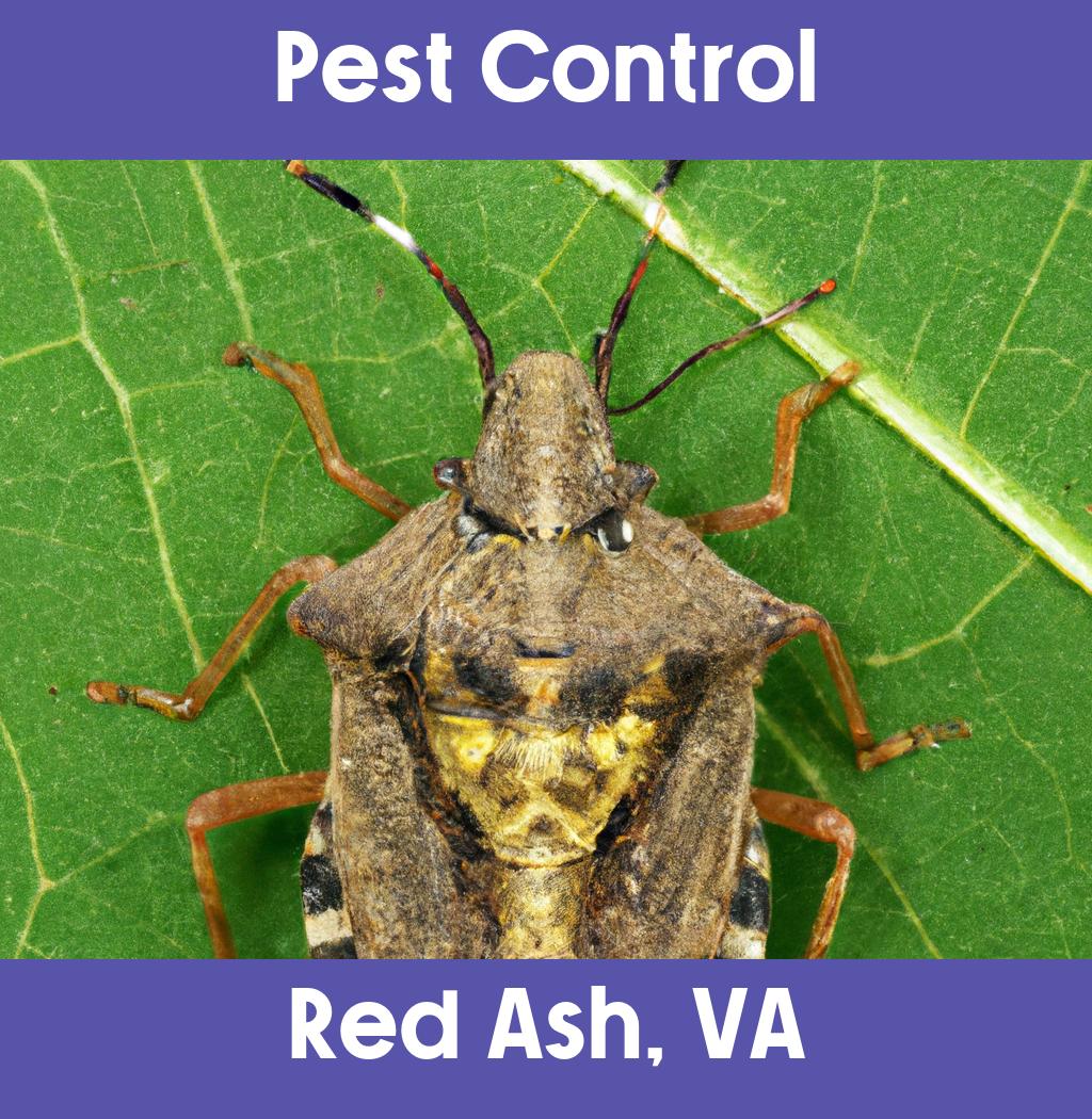 pest control in Red Ash Virginia