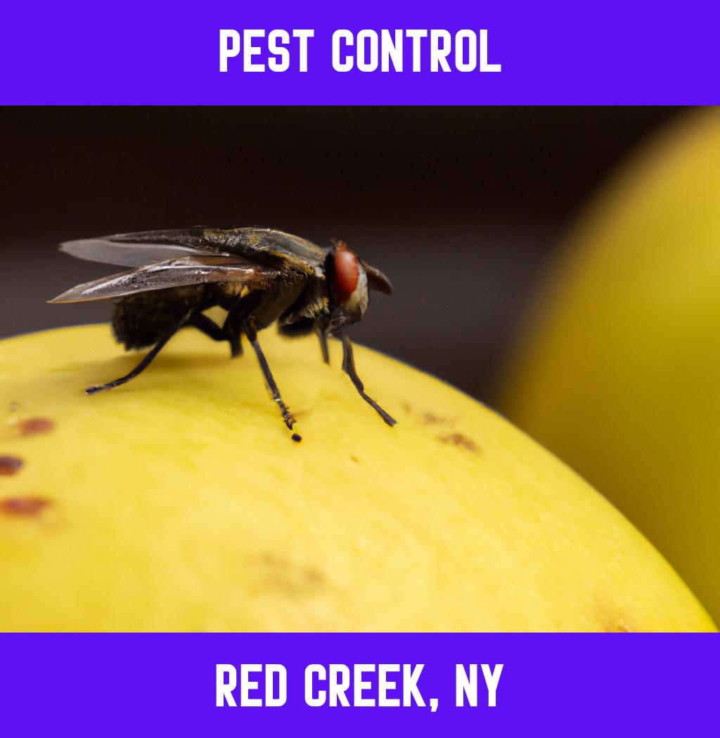 pest control in Red Creek New York