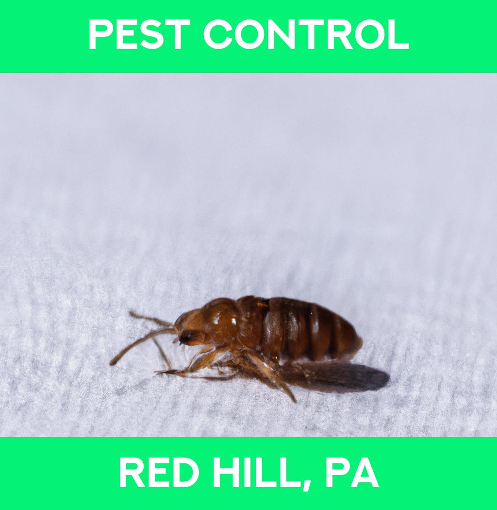 pest control in Red Hill Pennsylvania