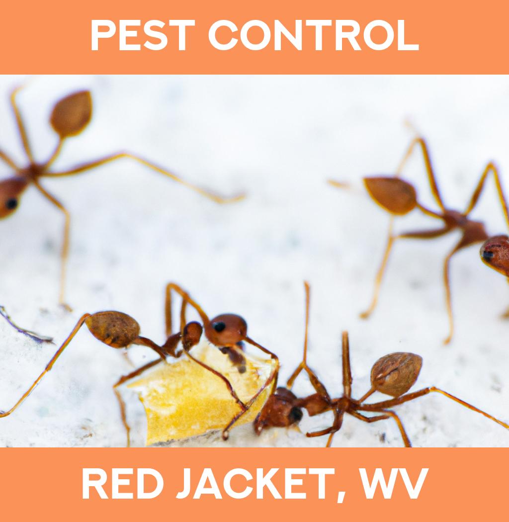 pest control in Red Jacket West Virginia