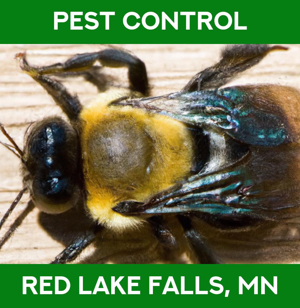 pest control in Red Lake Falls Minnesota