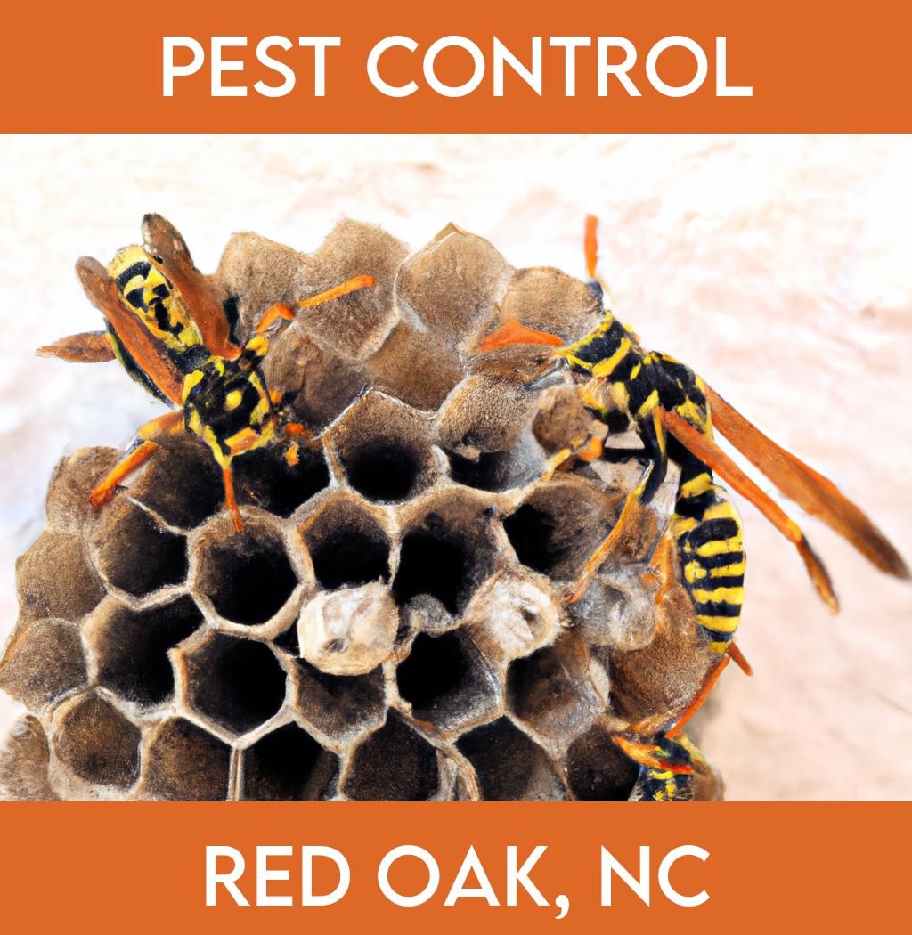 pest control in Red Oak North Carolina
