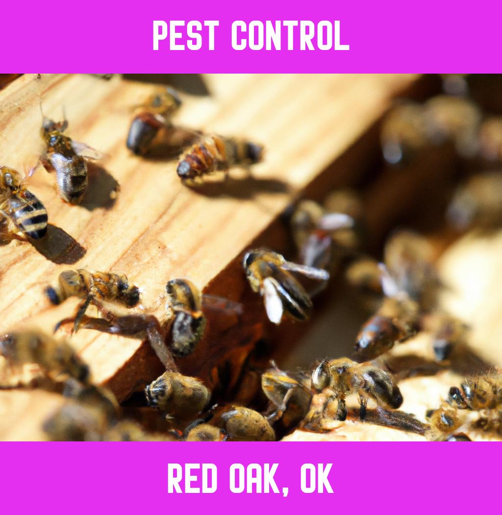 pest control in Red Oak Oklahoma