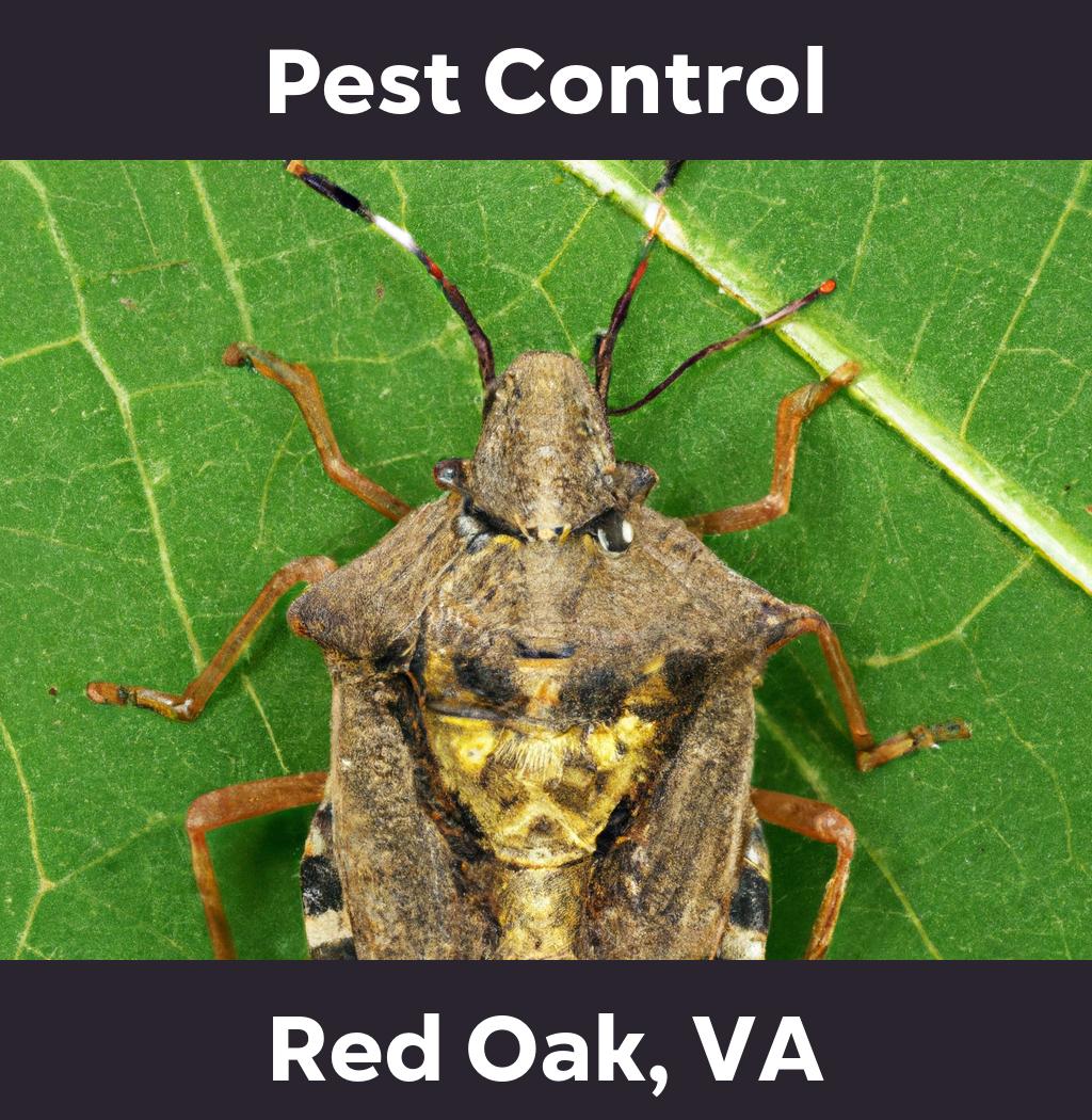 pest control in Red Oak Virginia