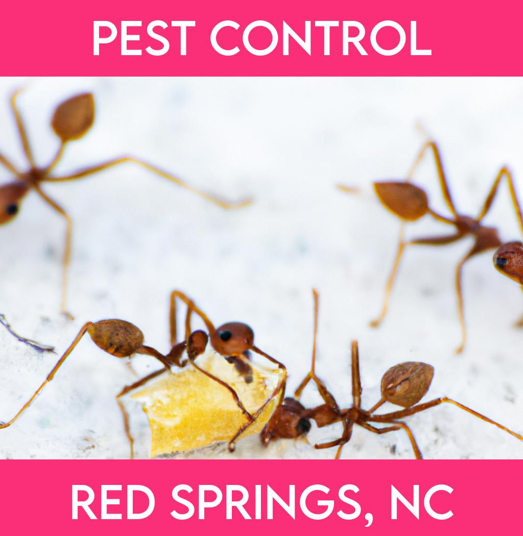 pest control in Red Springs North Carolina