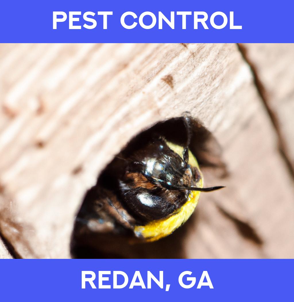 pest control in Redan Georgia