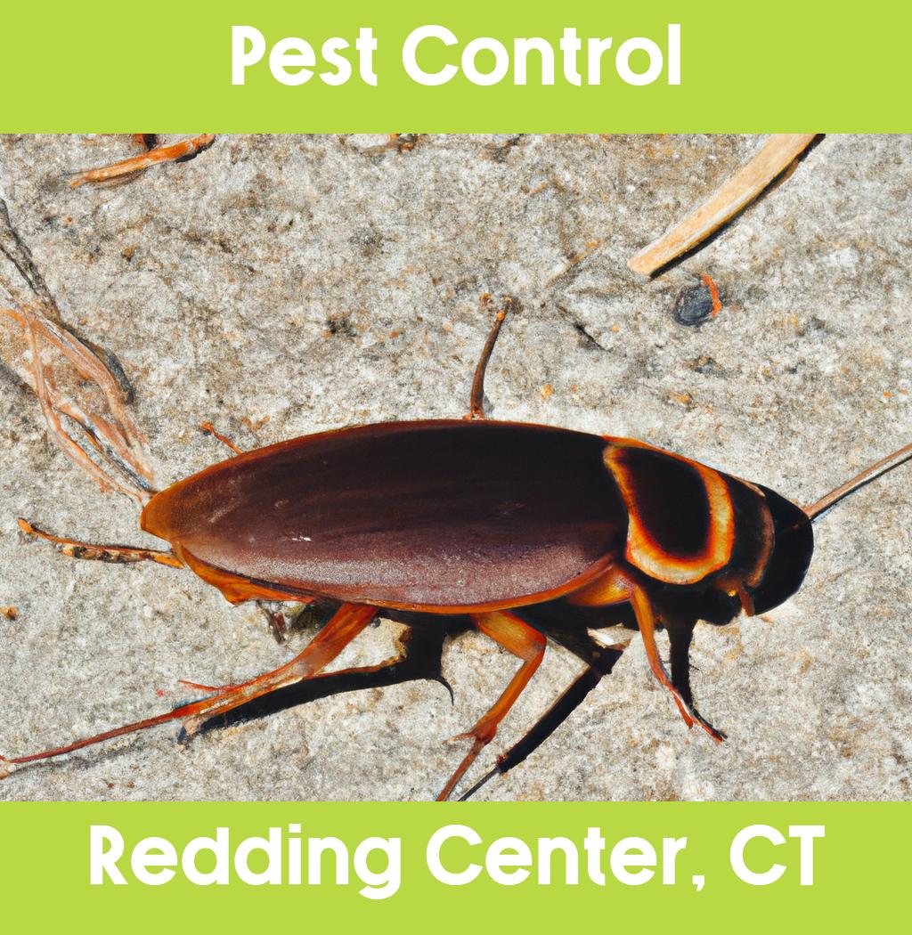 pest control in Redding Center Connecticut