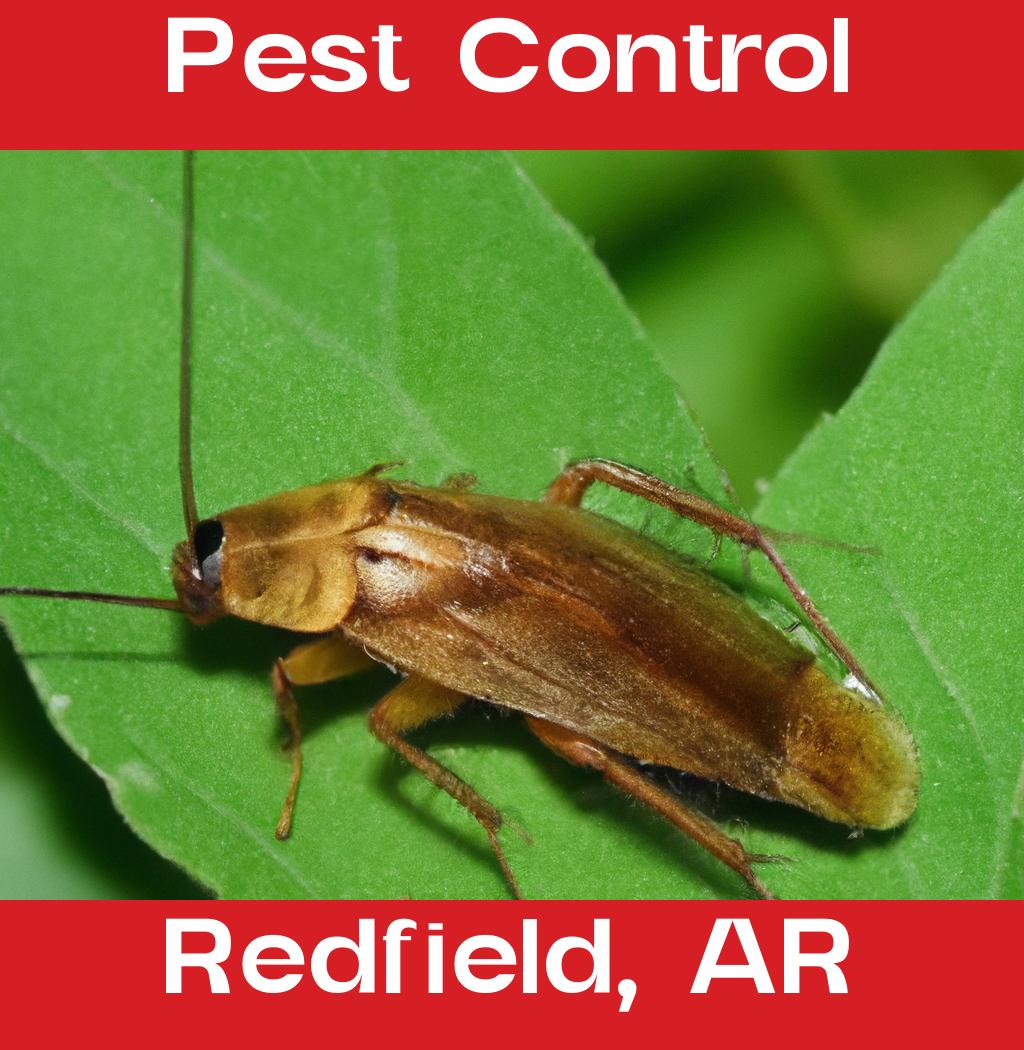 pest control in Redfield Arkansas