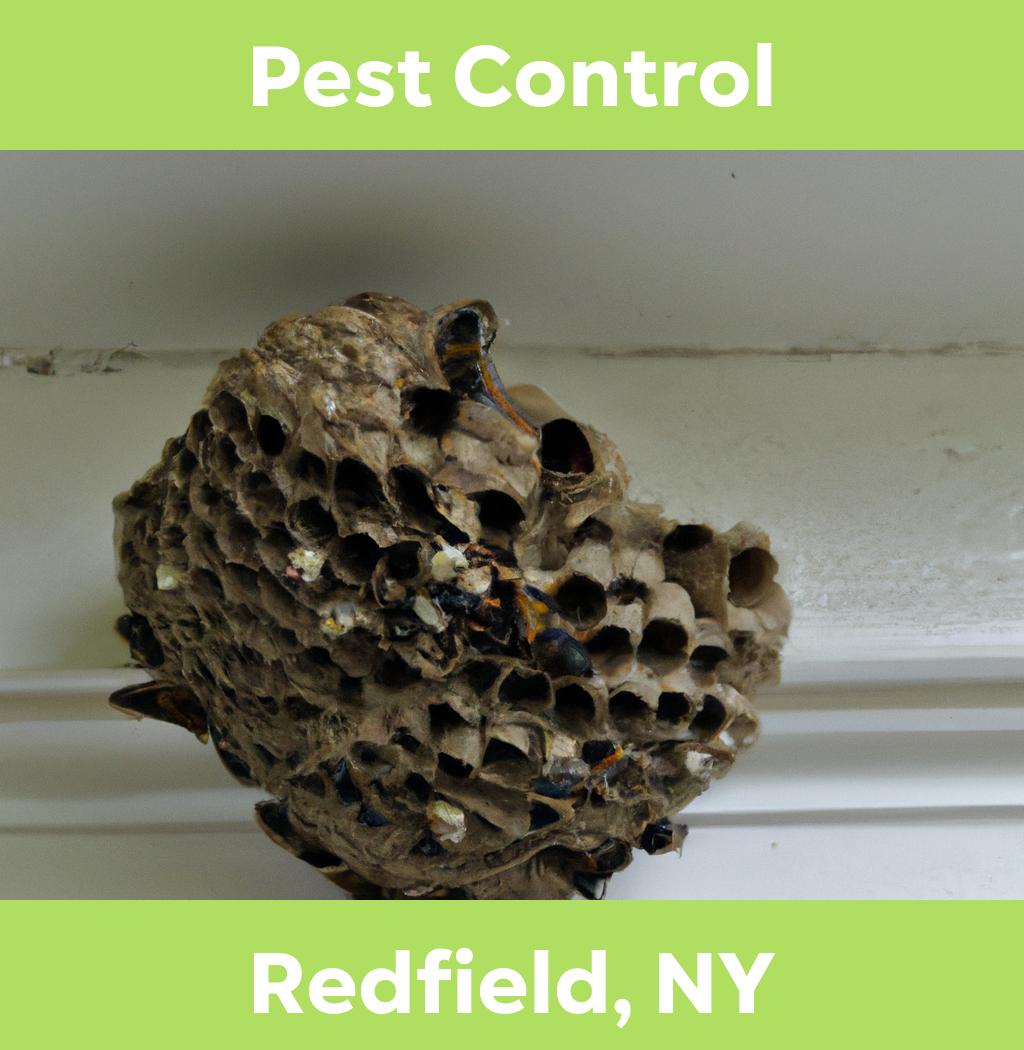 pest control in Redfield New York