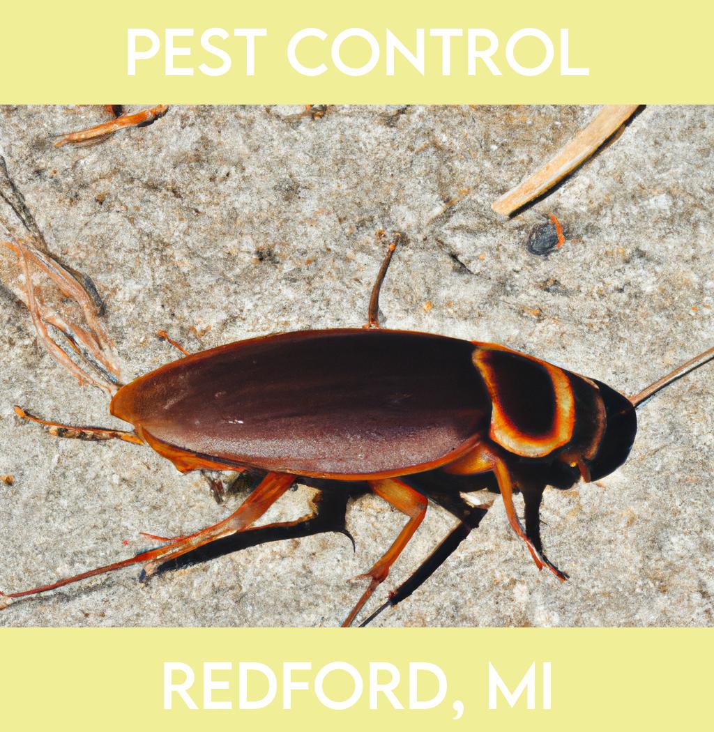 pest control in Redford Michigan
