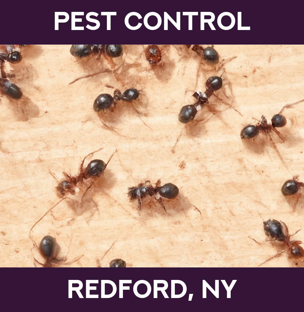 pest control in Redford New York