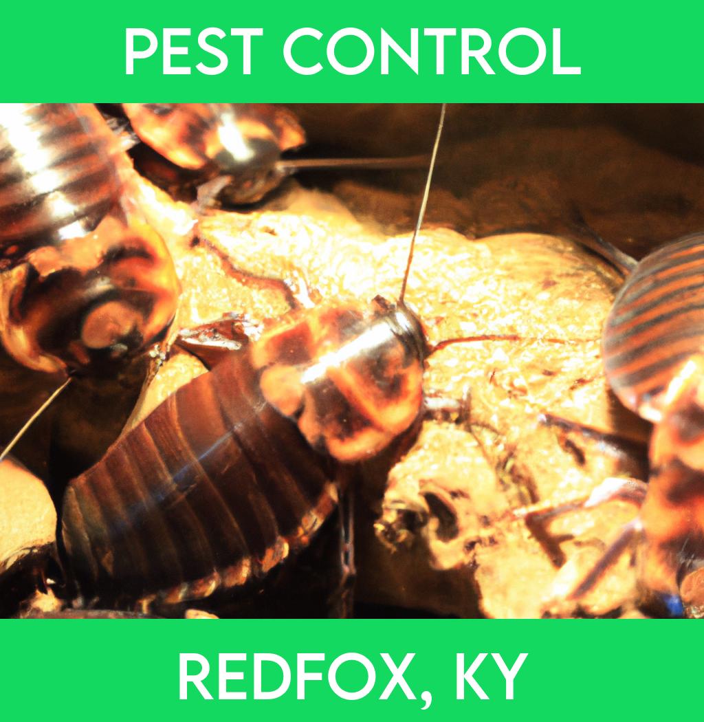 pest control in Redfox Kentucky