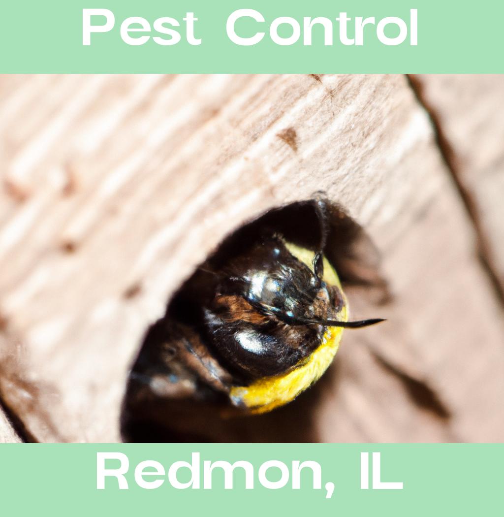 pest control in Redmon Illinois
