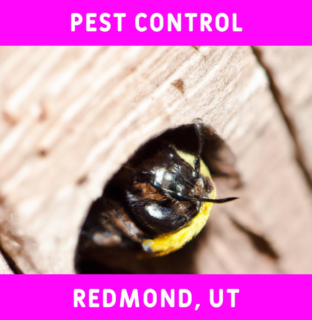 pest control in Redmond Utah