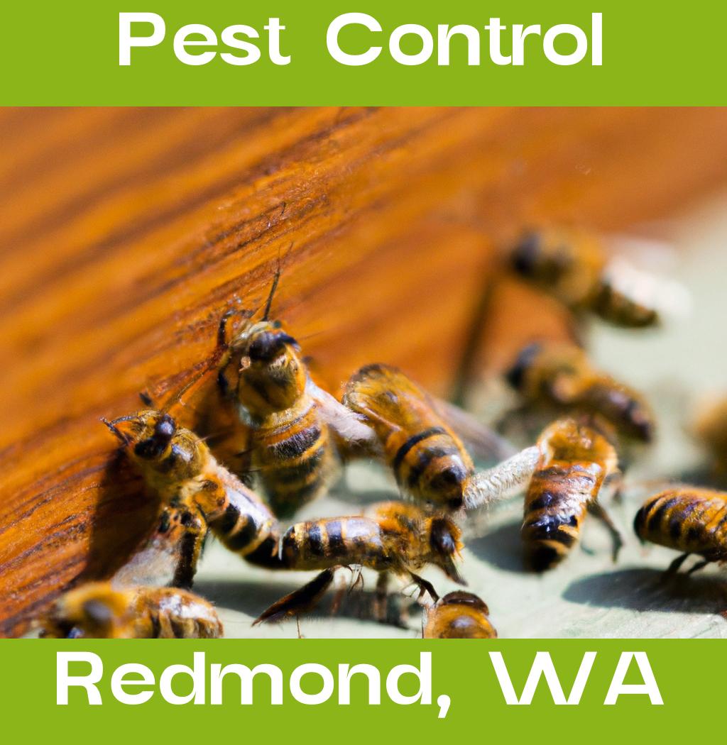 pest control in Redmond Washington