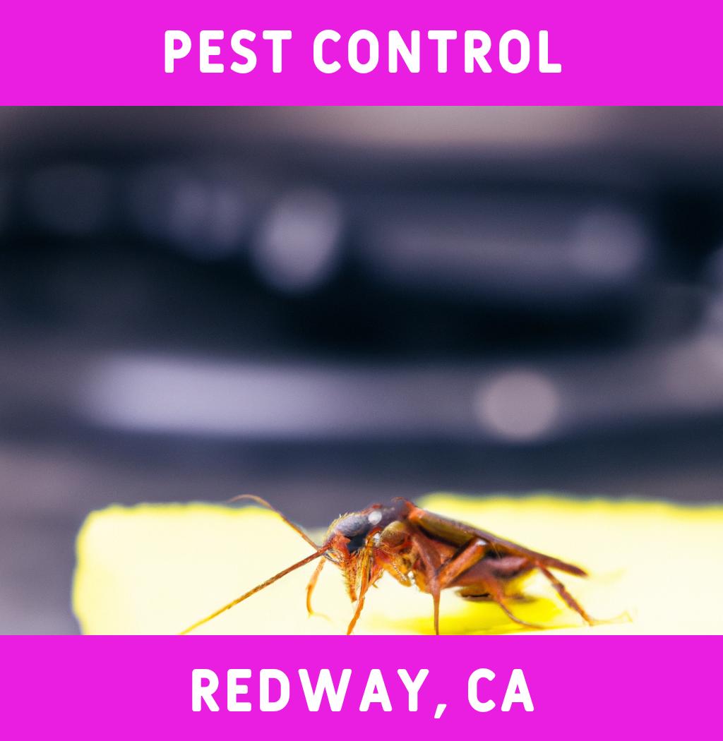 pest control in Redway California