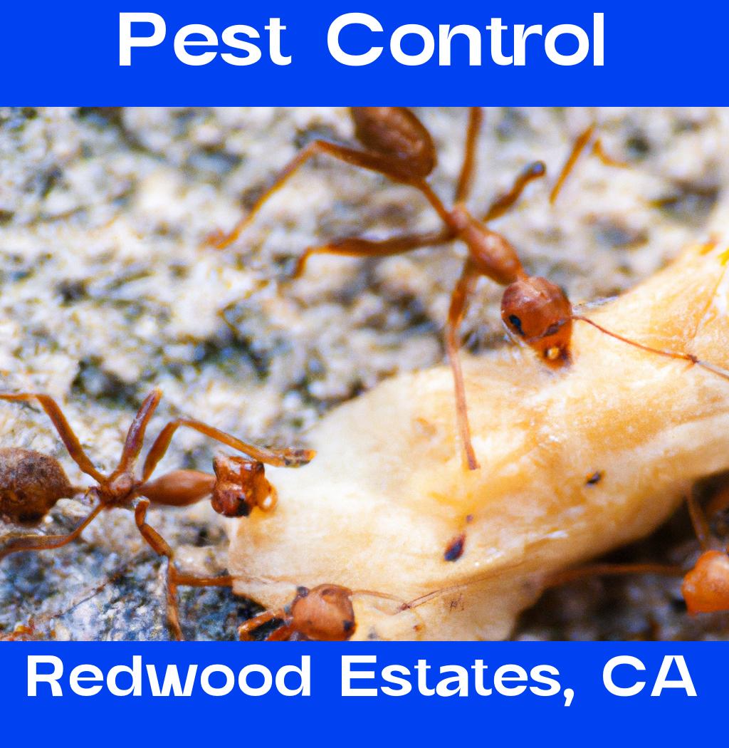 pest control in Redwood Estates California