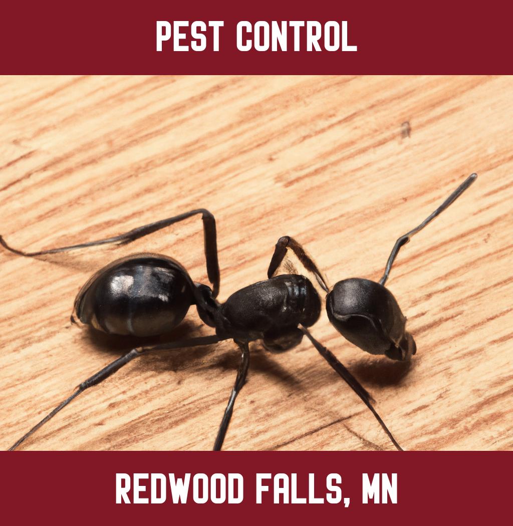pest control in Redwood Falls Minnesota