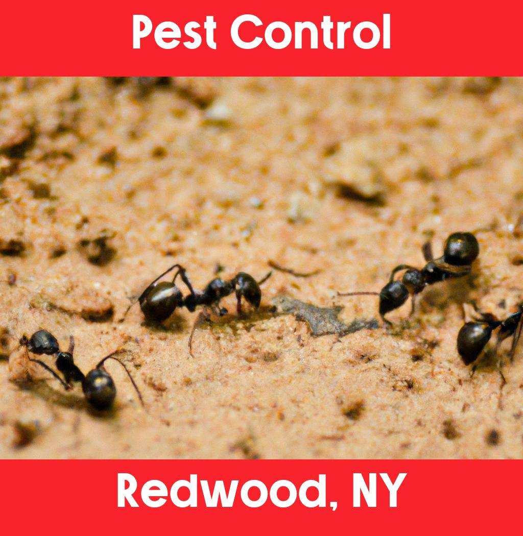 pest control in Redwood New York