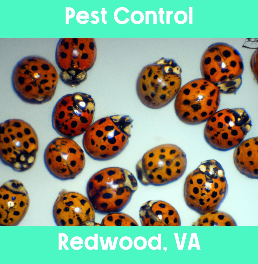 pest control in Redwood Virginia