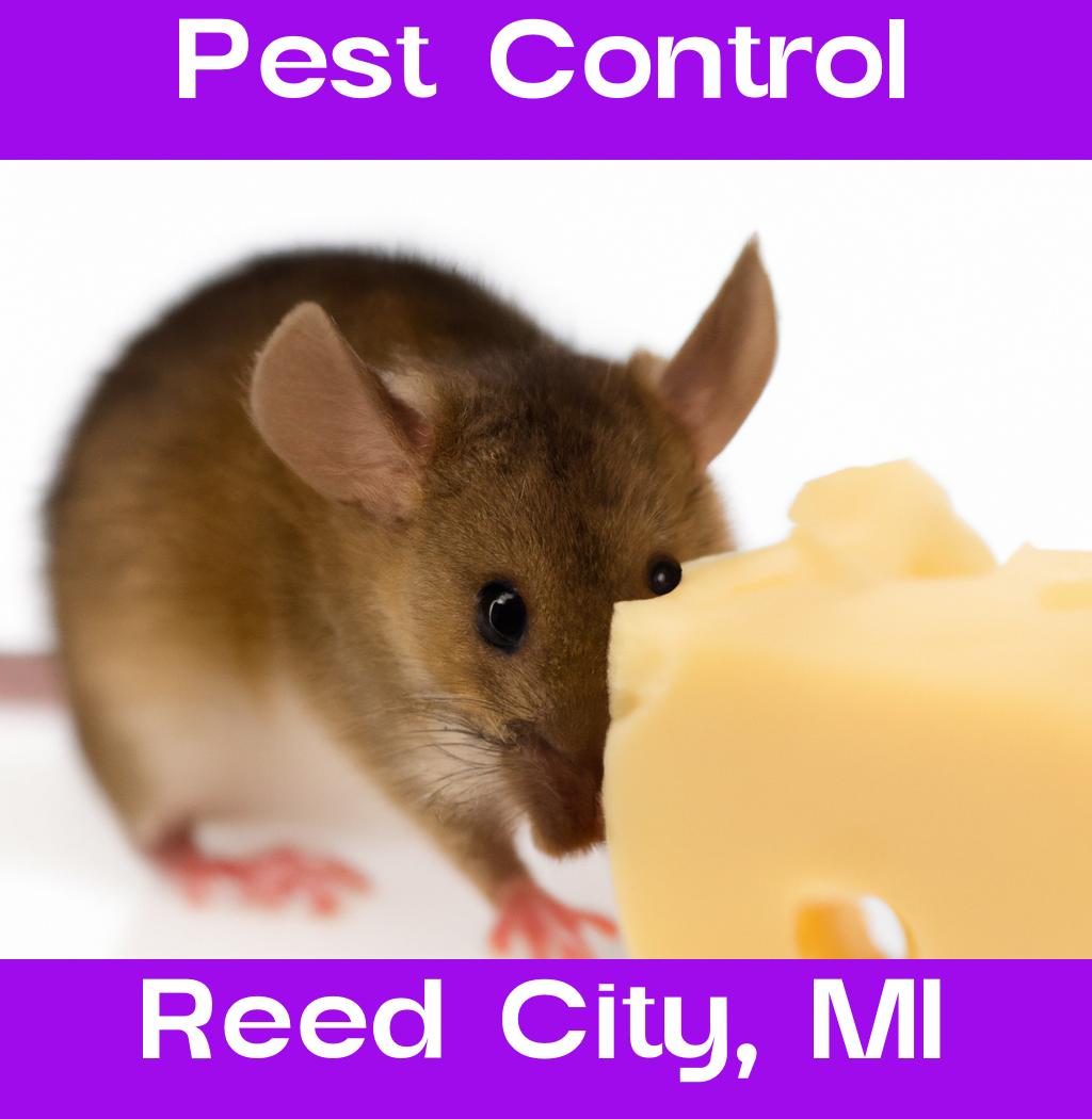 pest control in Reed City Michigan