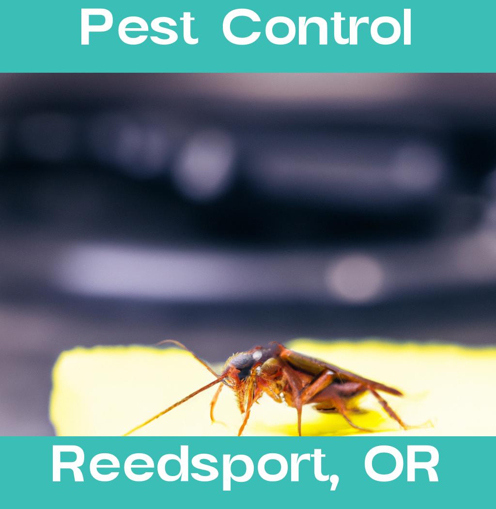 pest control in Reedsport Oregon