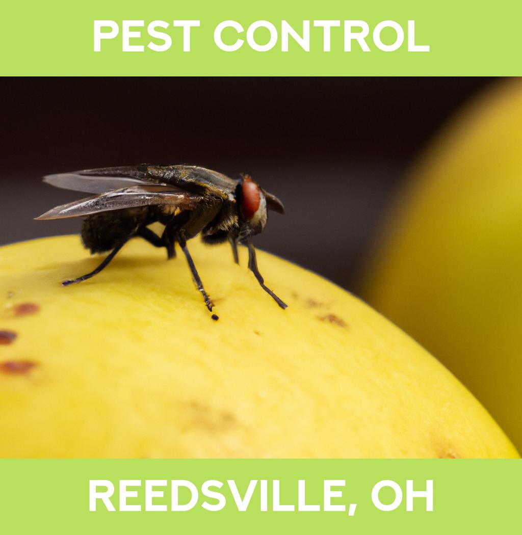 pest control in Reedsville Ohio