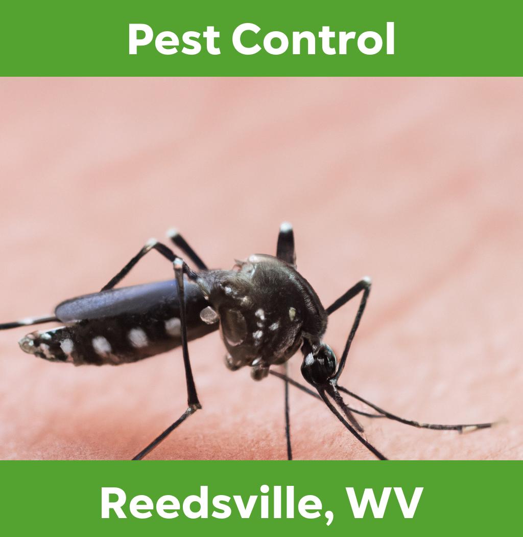 pest control in Reedsville West Virginia